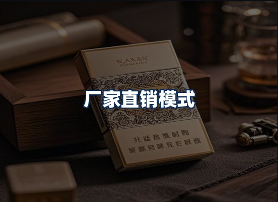 专业团队办公环境